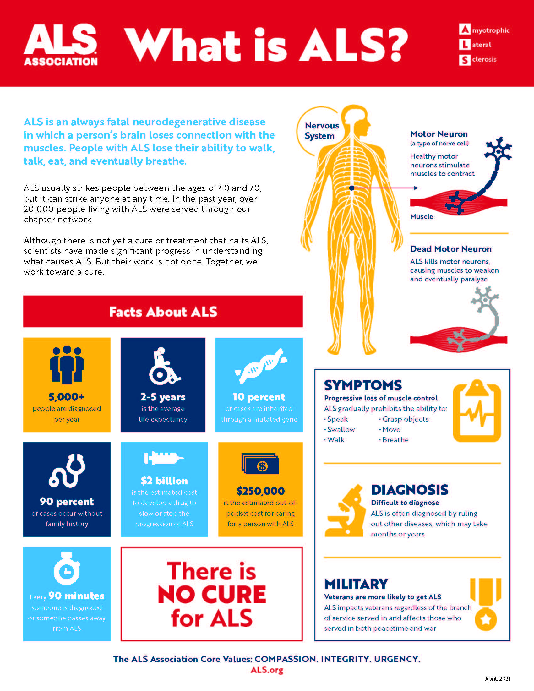 What is ALS Infographic_2021